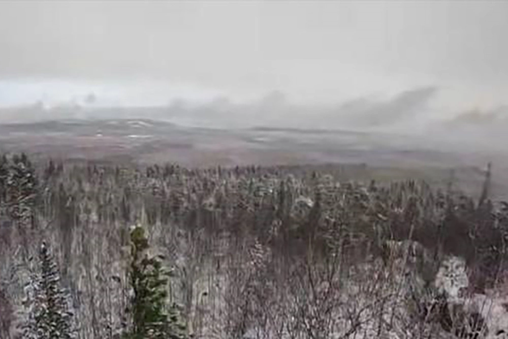 Поиск семьи Усольцевых