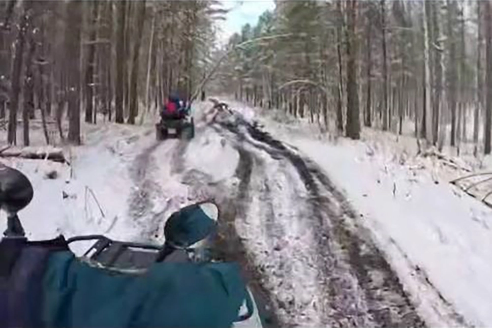 Поиск семьи Усольцевых