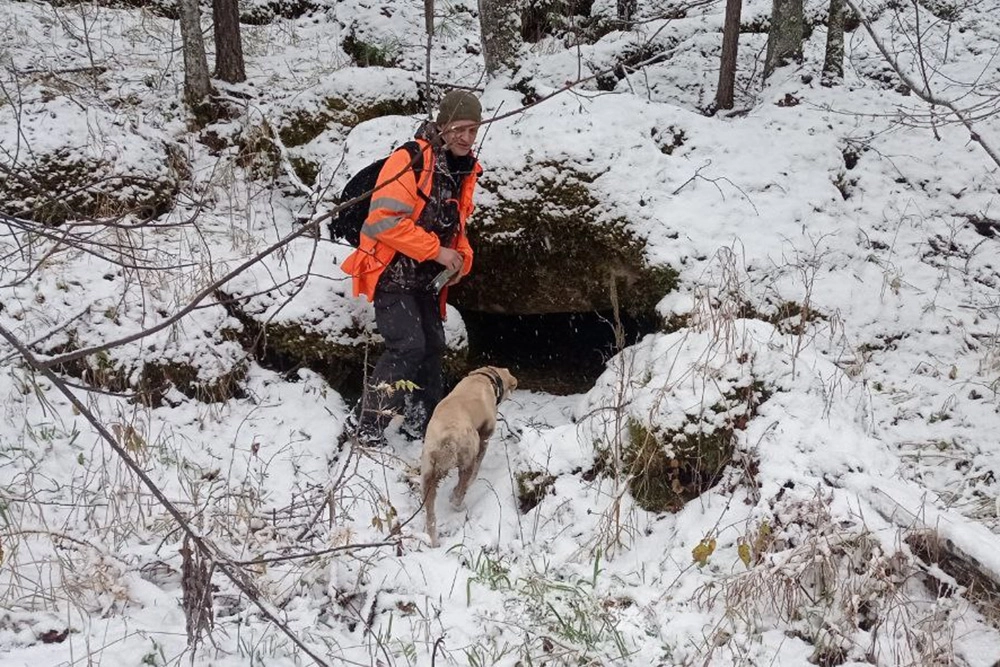 Поиск семьи Усольцевых