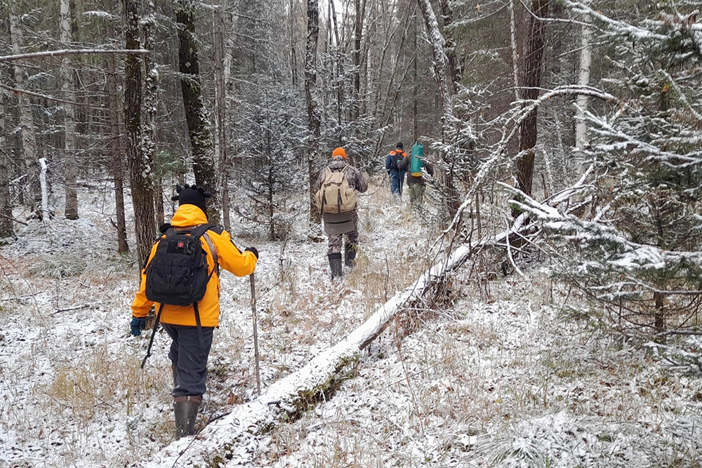 Поиск семьи Усольцевых