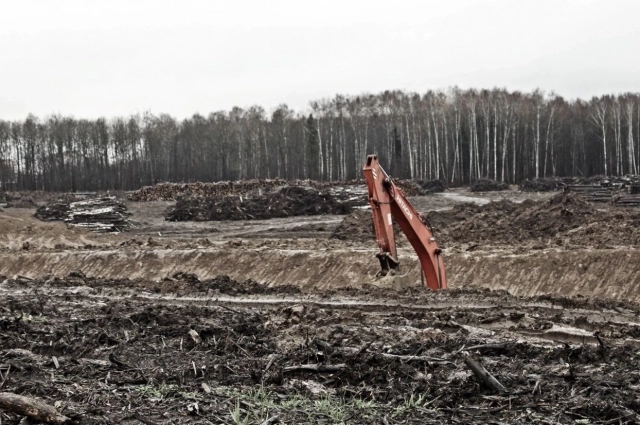 Проект предусматривает значительное обновление инфраструктуры.