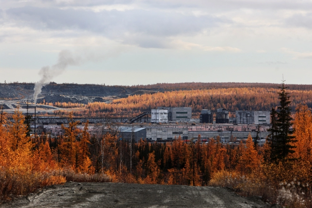 «Полярная сова» в Харпе