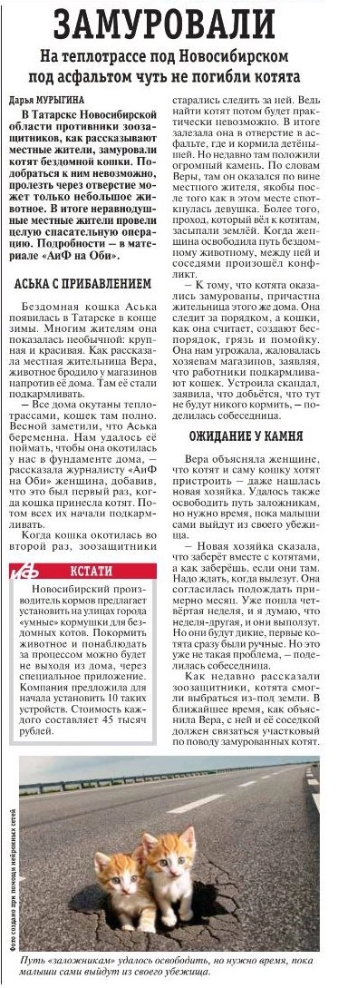 газета