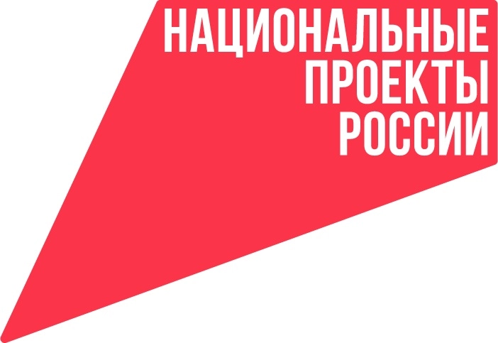Национальные проекты России