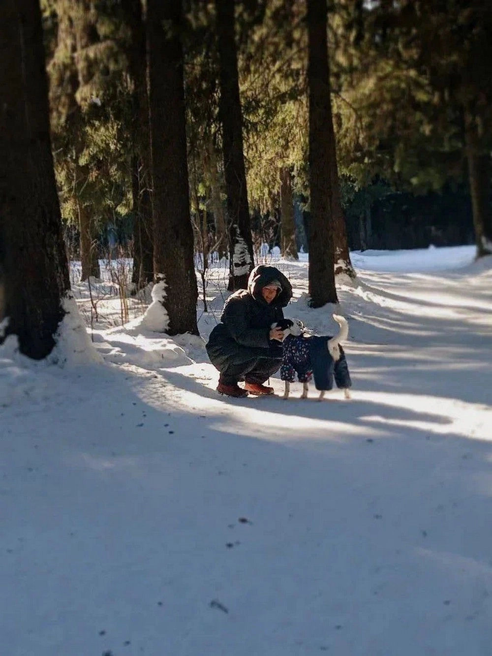 В лесу с собакой.