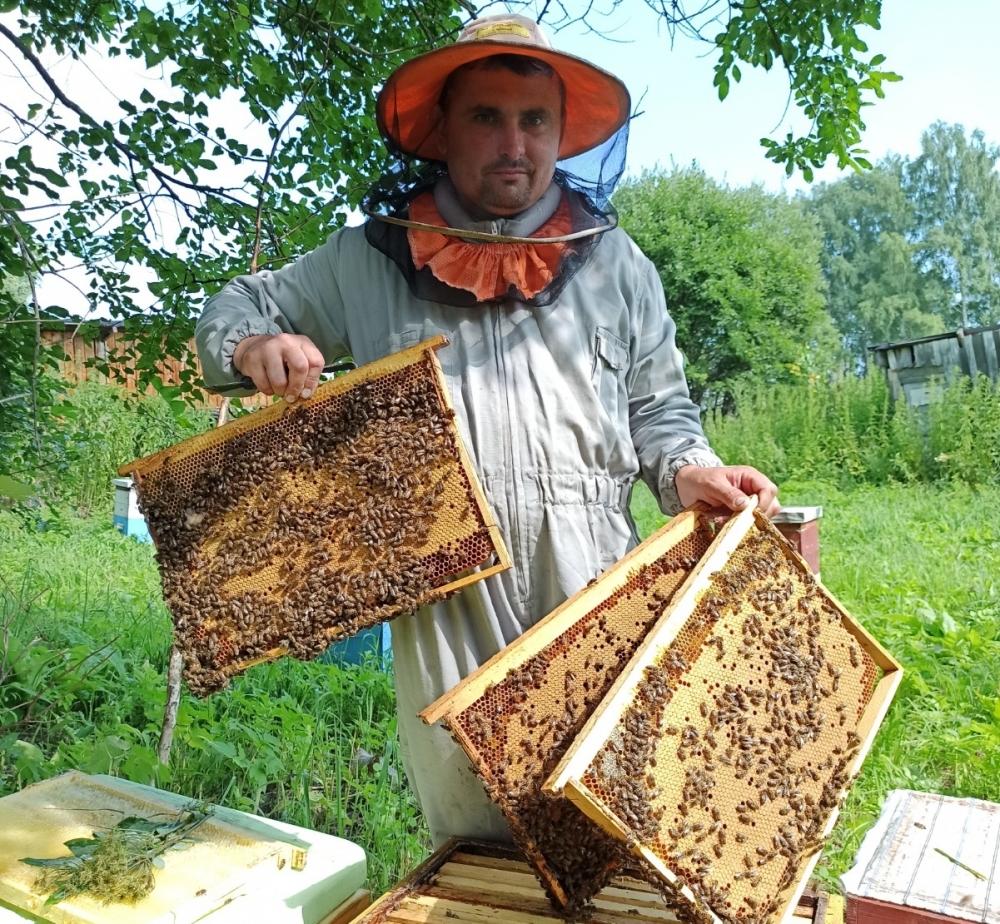 Чтобы не ошибиться в качестве мёда, надо найти своего пчеловода. 