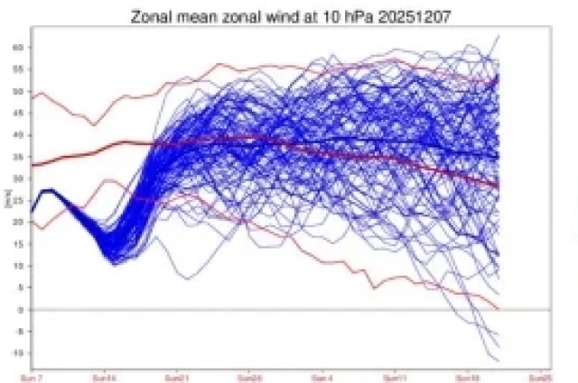 Каждая линия в этом пучке «спагетти» означает возможный путь развития событий.