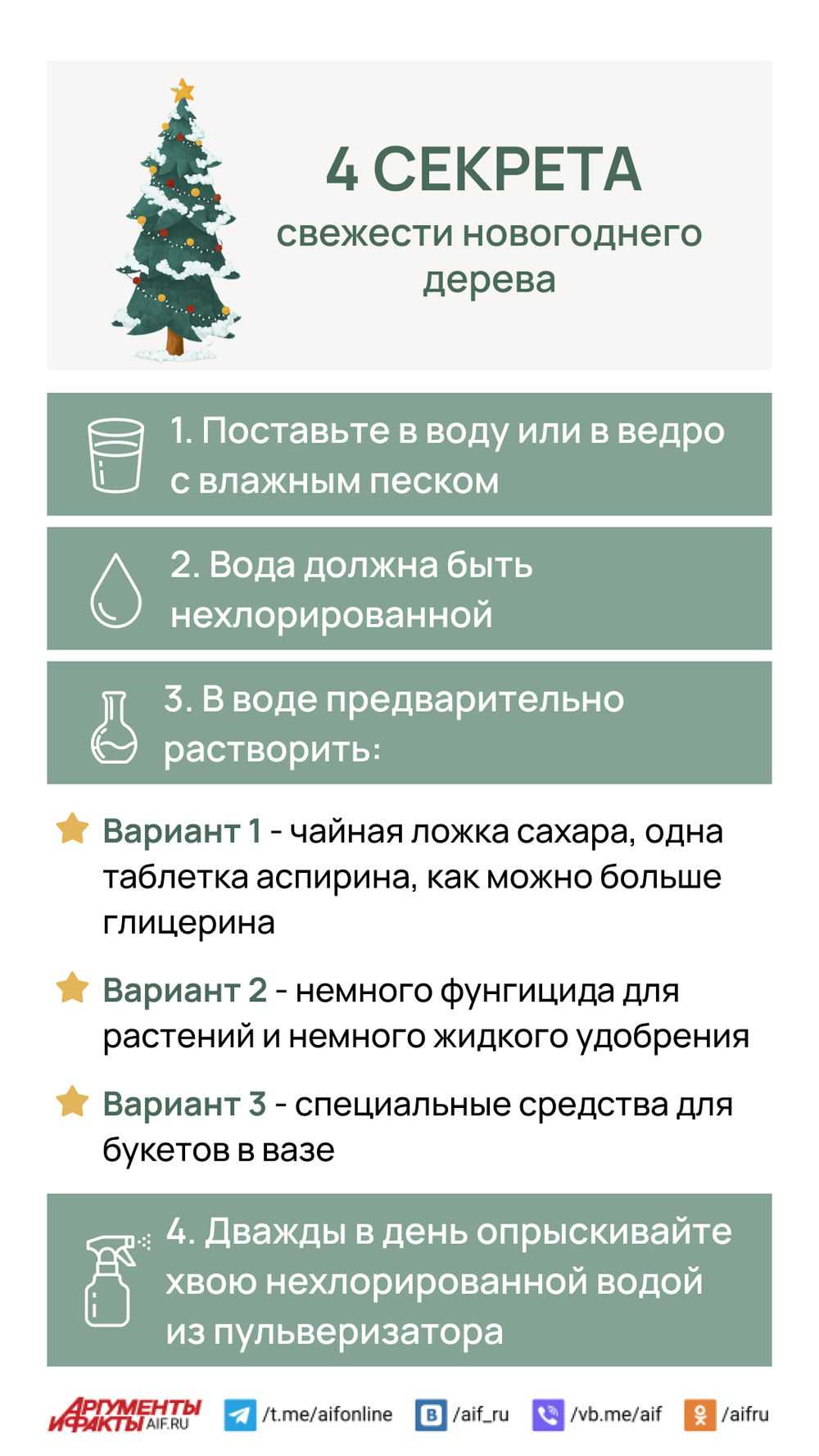 Секреты свежести новогоднего дерева. Инфографика | Аргументы и Факты