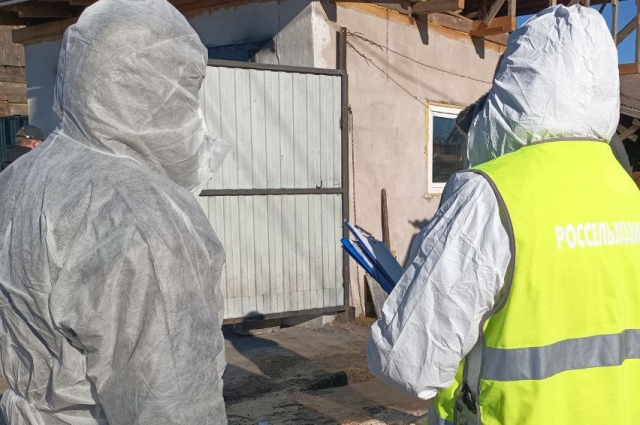 В Татарстане предприятия перевели в закрытый режим работы.