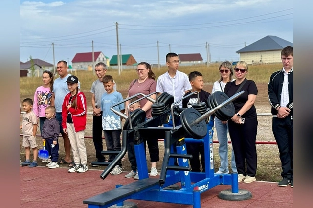 спортивная площадка, единая россия