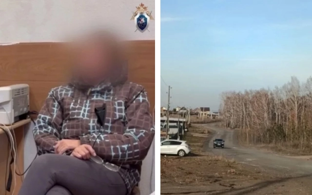 Главу приюта-подрядчика Ирину Музыка отправили в СИЗО до 25 декабря 2025 года