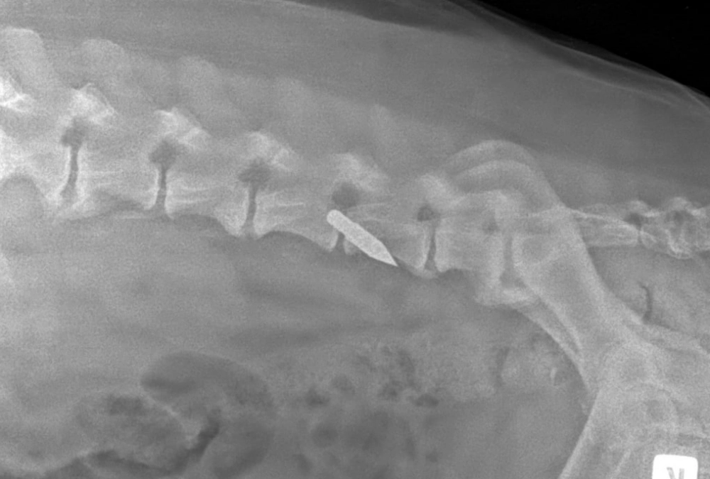 Снимок застрявшего наконечника.