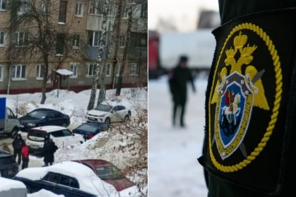 Подольск, Максим, погиб в снегу