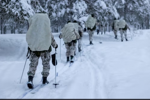 Финская армия подчиняется президенту страны.