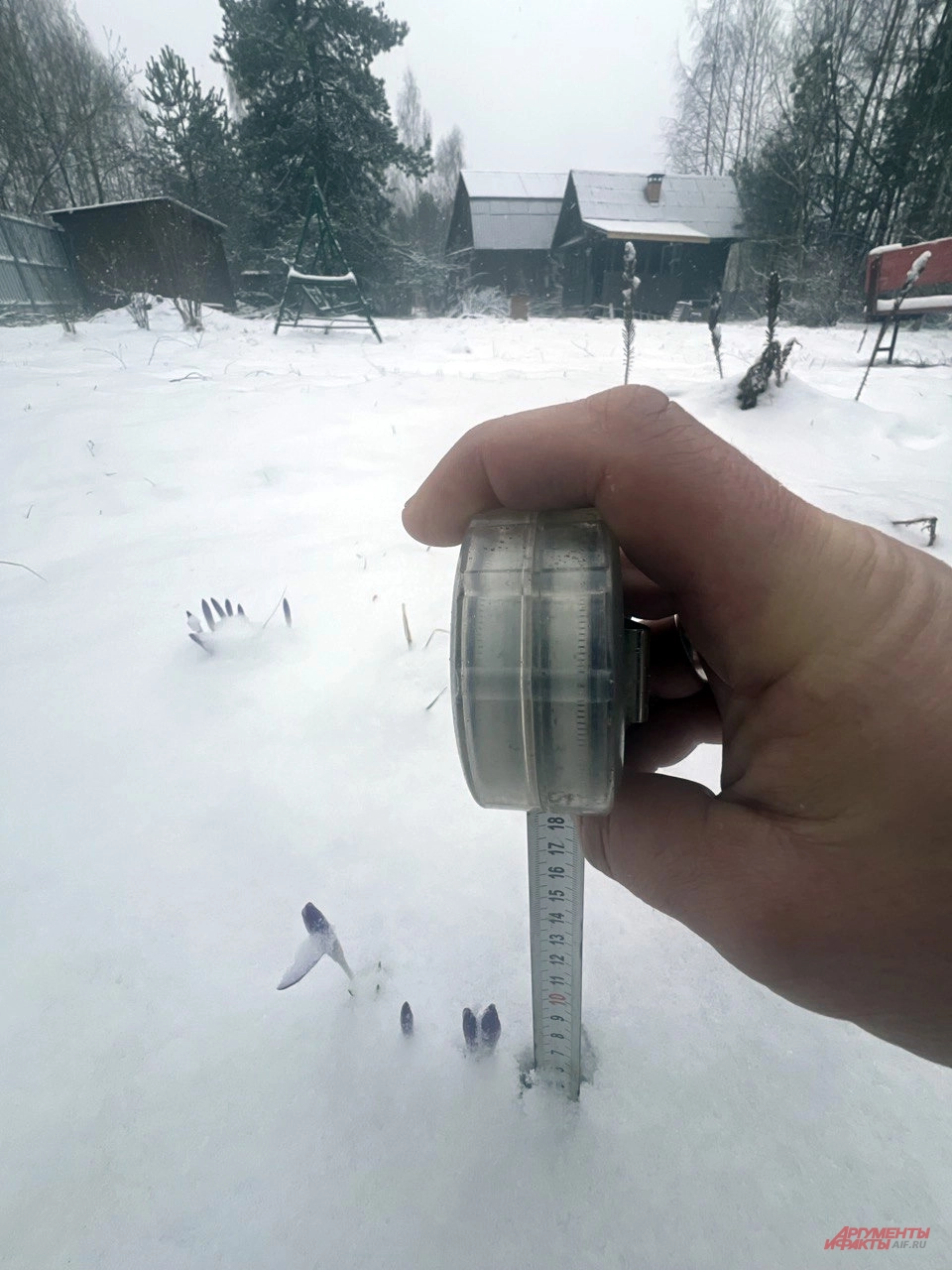 Глубина снега в Подмосковье.