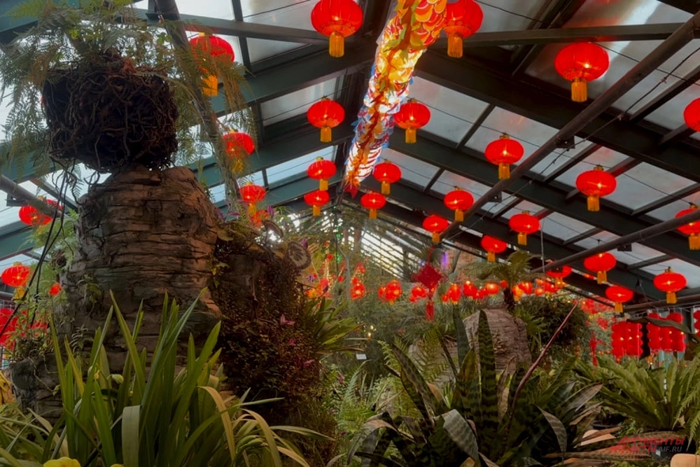 Аптекарский огород, украшения к Китайскому Новому году.