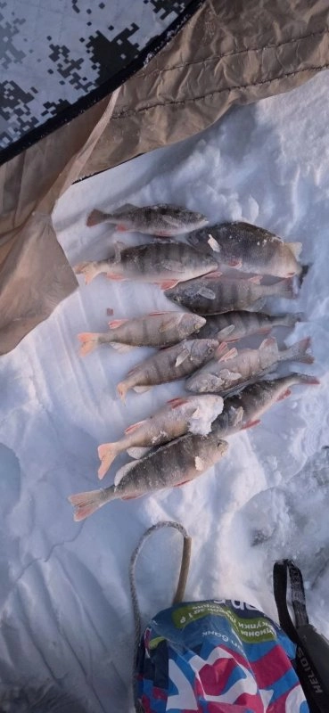 Новосибирцы поймали щуку при –45 °C у острова Тайвань