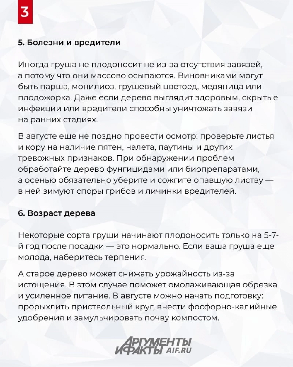 Нажмите для увеличения
