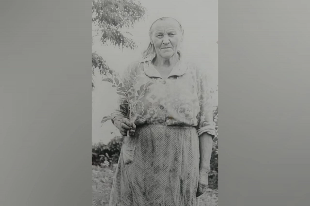 После войны Василий Шаров женился на Ефросинии Штепе из станицы Каневской.