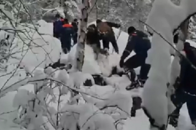 Поиски семьи Усольцевых