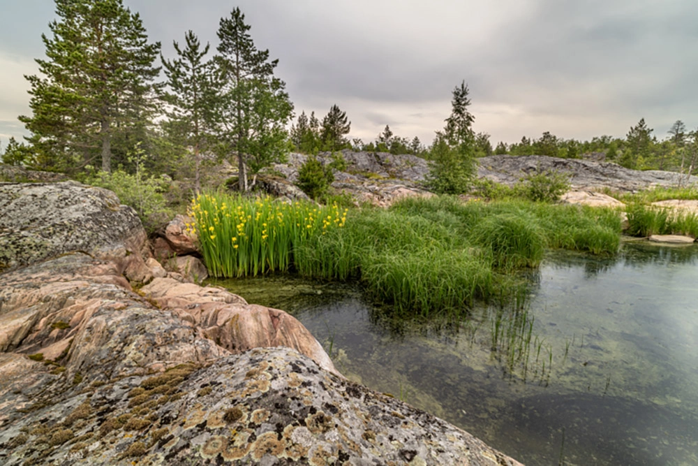 Тайны и легенды Ладожских шхер. Фотоистория Геннадия Юсина
Тайны и легенды Ладожских шхер. Фотоистория Геннадия Юсина