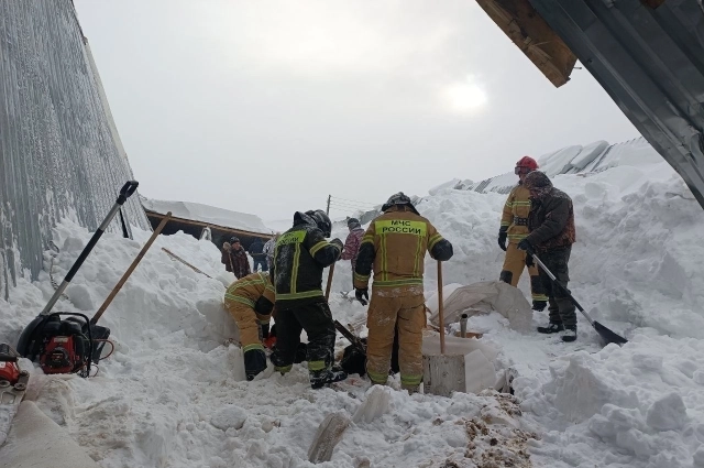 Фото с места обрушения кровли в хлеву.