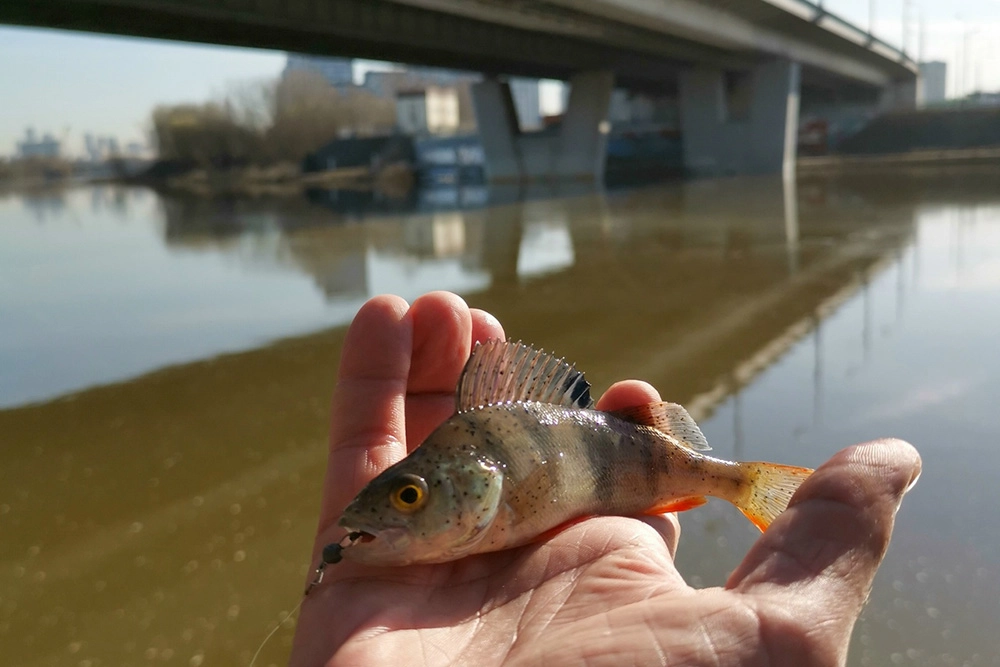Максим Бессонов получает большое удовольствие от городской рыбалки.