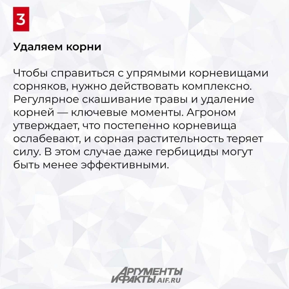 Нажмите для увеличения