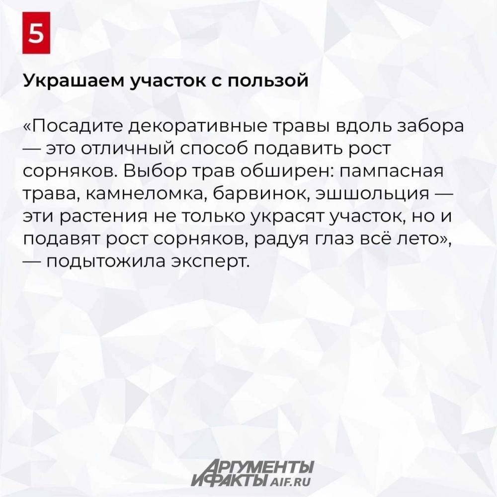 Нажмите для увеличения