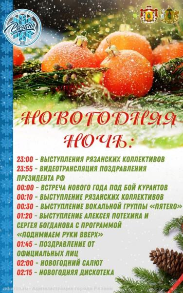 программа новогодней ночи в Рязани