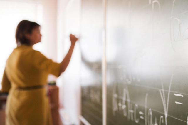 Как и любая крупная реформа, эксперимент вызвал дискуссии.