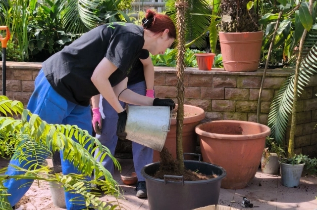 Студентам, которые проходят практику в Ботаническом саду, очень нравится изучать коллекционный фонд