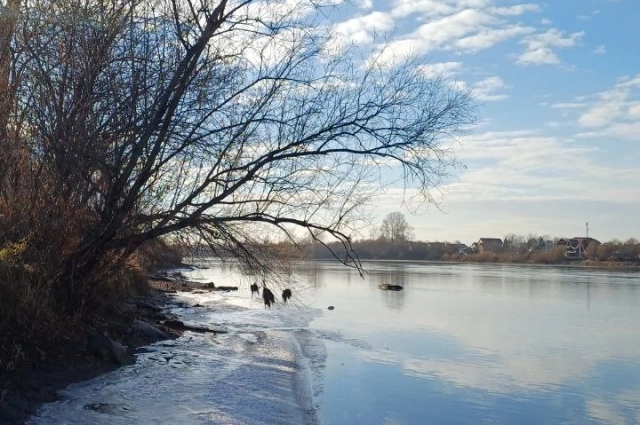 Река Иркут в областном центре пока и не думает покрываться льдом.