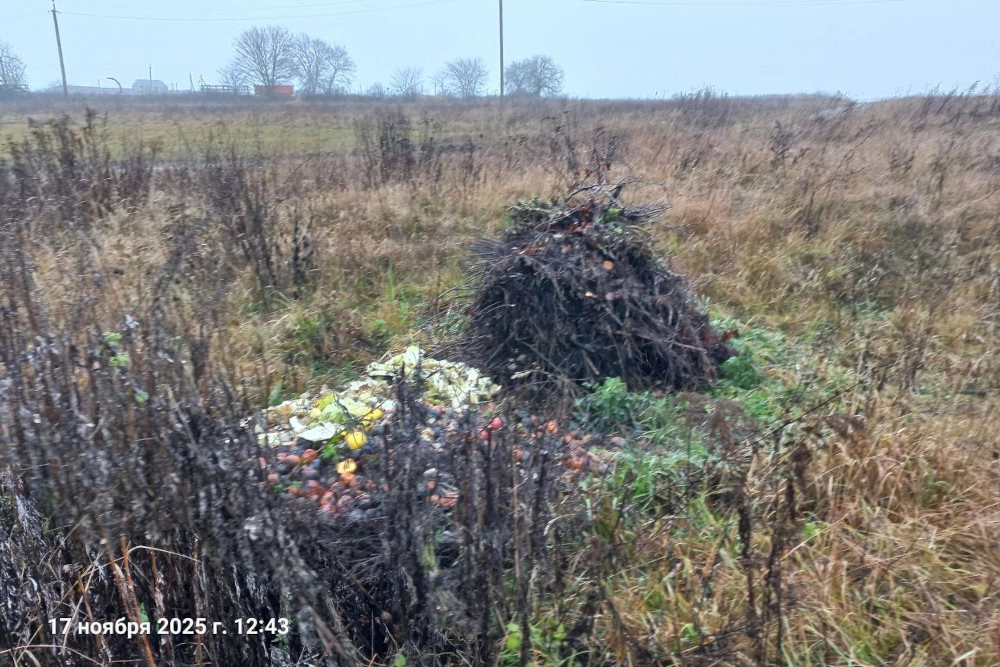 Также мусор ряд сельчан выбрасывает прямо в границах посёлка.