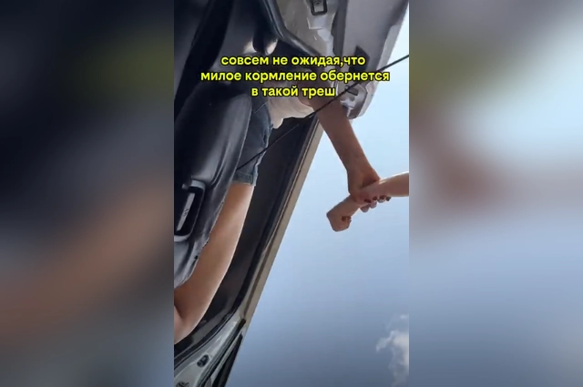 В результате нападения никто не пострадал.