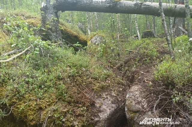Такая дорога на скалы, провалиться можно легко.