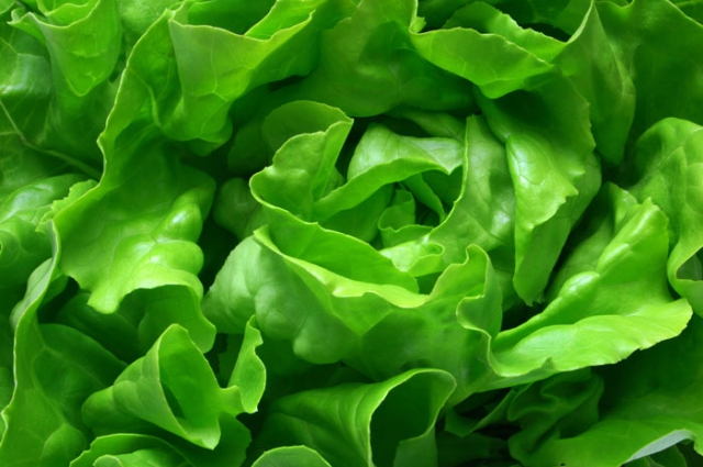 Продукты, повышающие аппетит