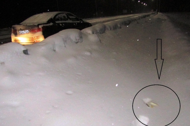 Пассажир выкинул в снег странный предмет.