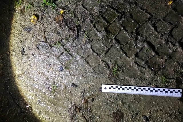 След грузовика.