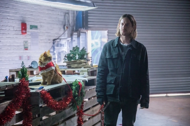 До встречи с котом Бобом Джеймс не любил Рождество, но рыжий пушистый хулиган все изменил. Фото: кадр из фильма «Рождество кота Боба»