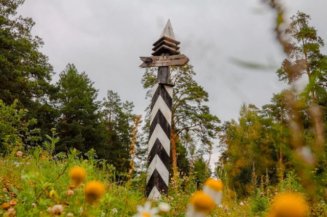 Первые на Урале. Как посёлок демидовского завода стал городом трубников