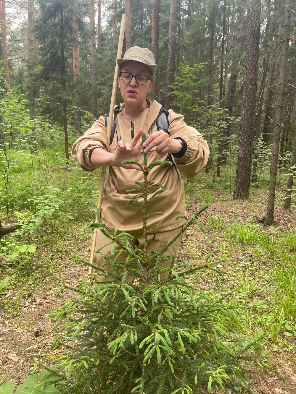 Черняевский лес