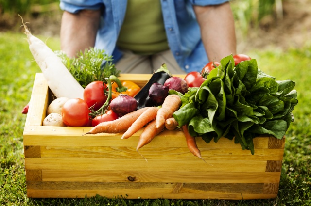Как правильно подкармливать овощные культуры во время плодоношения: советы по безопасному удобрению