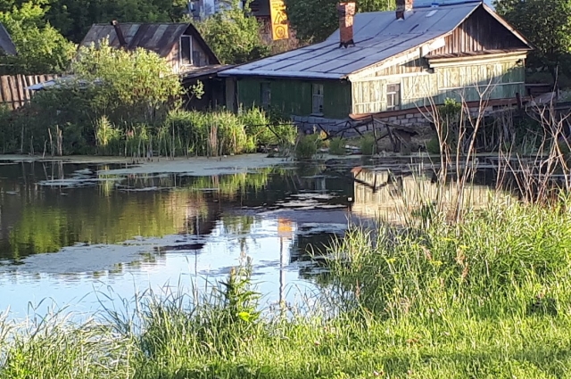 На Лесобазе много прудов, заводей и озер.