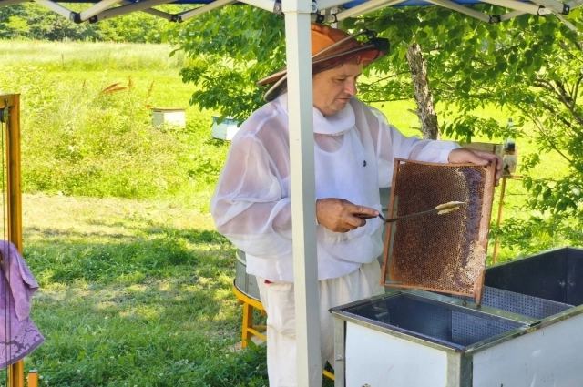 К середине августа пасечники завершали сбор мёда.