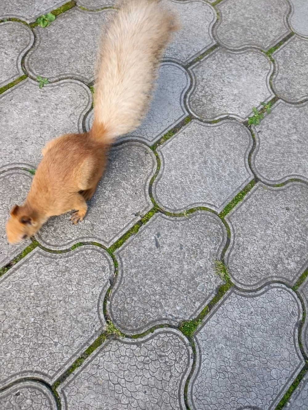 Зрители перед представлением наслаждаются природой.