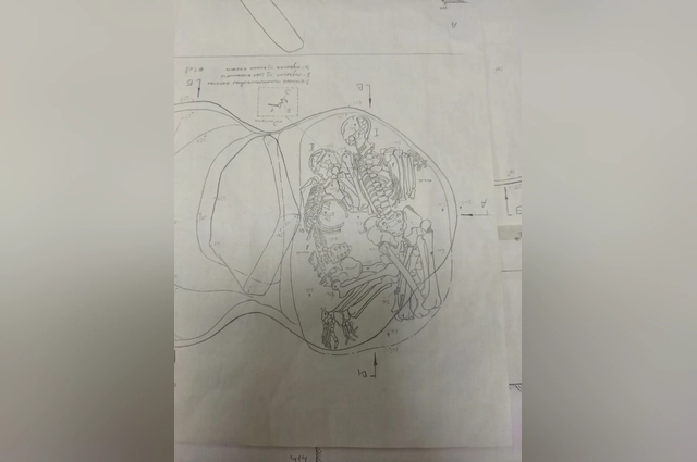 Схема парного захоронения бронзового века: мужчине подогнули ноги назад.