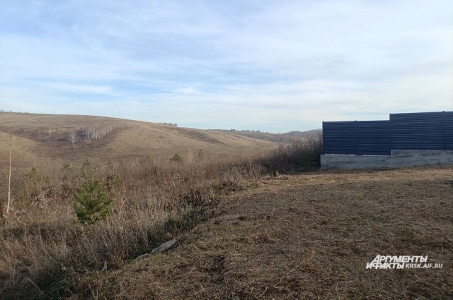 Пустырь, где собаки загрызли мальчика под Красноярском.