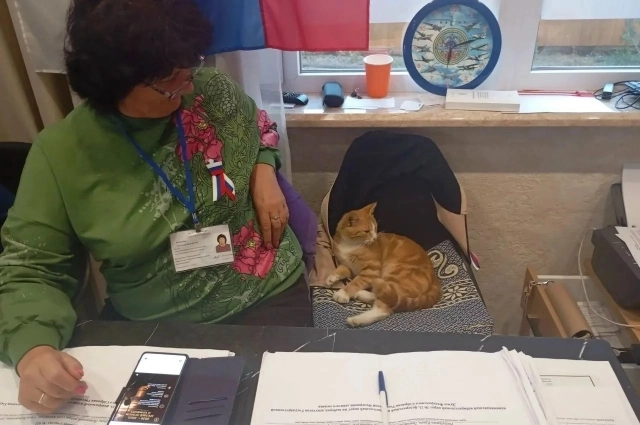 В Саках котики трудились на участках.