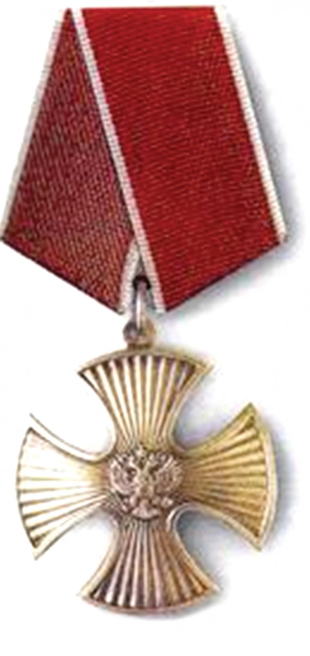 Орден Мужества Дмитрий Шорников получил посмертно.